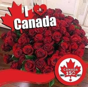 Meet your Posher, Nursel